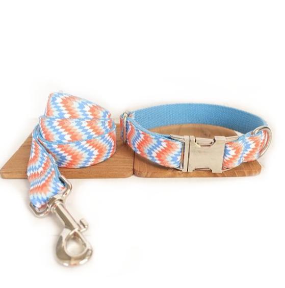 Money loop dog leash set portable dog running leash rope