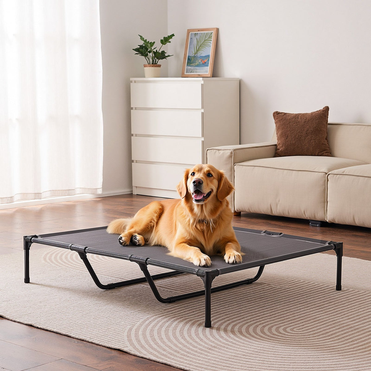 Extra-Large Raised Dog Cot