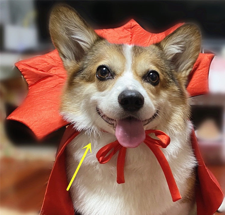 Halloween Pet Costumepet Halloween Cape Vampire King — product detail