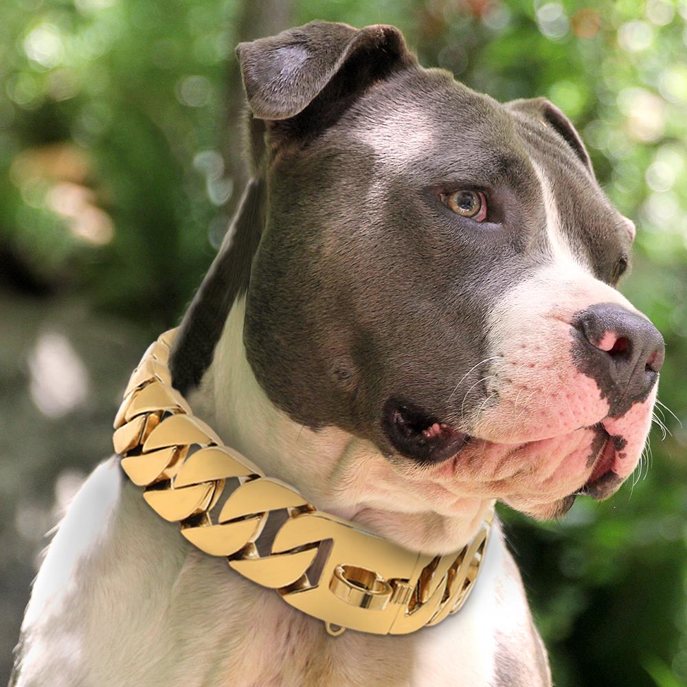 Stainless steel dog chain — product detail
