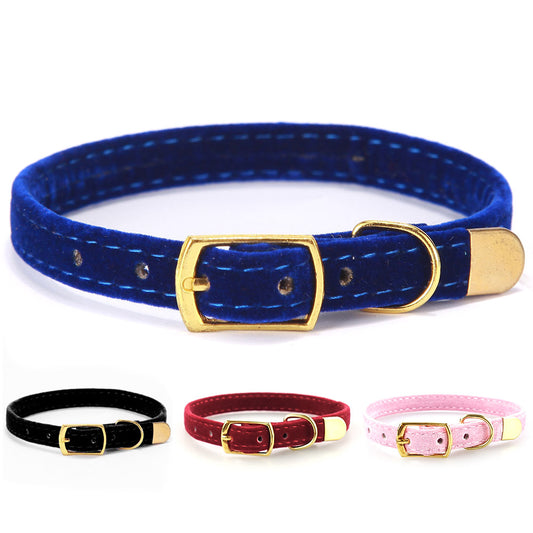 Cat Collar with Gold-Tone Buckle