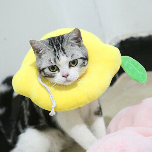 Adjustable Pet Neck Cone Recovery Pet Cat Recovery Collar Cat Soft Lemon Neck Cone Adjustable Pet E Collar After Surgery, Wound Healing Protective Cat Elizabethan Collar For Kitten & Puppy