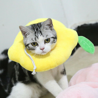 Adjustable Pet Neck Cone Recovery Pet Cat Recovery Collar Cat Soft Lemon Neck Cone Adjustable Pet E Collar After Surgery, Wound Healing Protective Cat Elizabethan Collar For Kitten & Puppy