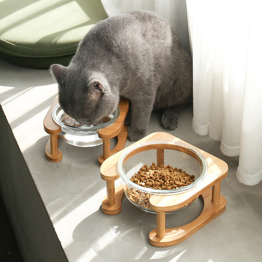 Raised Glass Pet Bowl with Stand