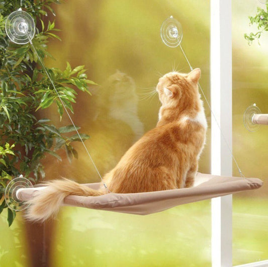 Window-Mounted Cat Hammock