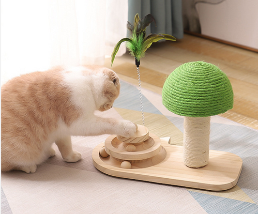 Cat Scratching Post & Ball-Track Toy