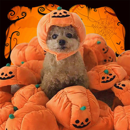 Pumpkin pet hat included in the Pumpkin Patch Dog Costume Kit