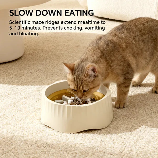 Dual-Mode Cat Feeding Bowl — product detail