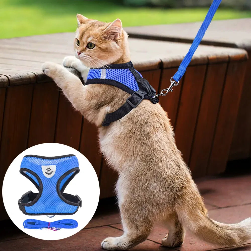 Reflective Pet Harness – supplier product photo