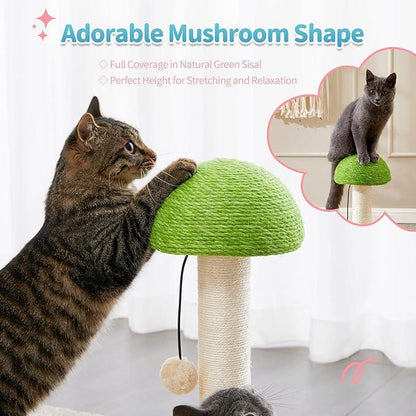 Mushroom Cat Scratcher with Ball Track — product detail