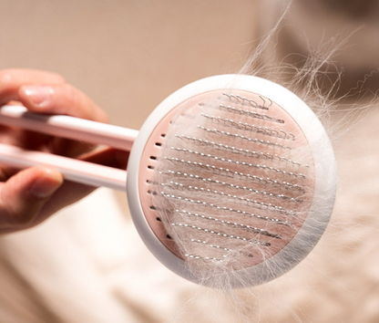 Pet Dog Hair Remover Cat Brush Grooming Tool Automatic Massage Comb Round Hair Brush For Cat Dog Pet Supplies — product detail