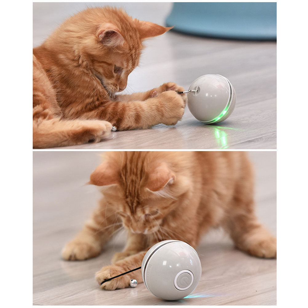 Colorful LED Laser Funny Cat Ball — product detail