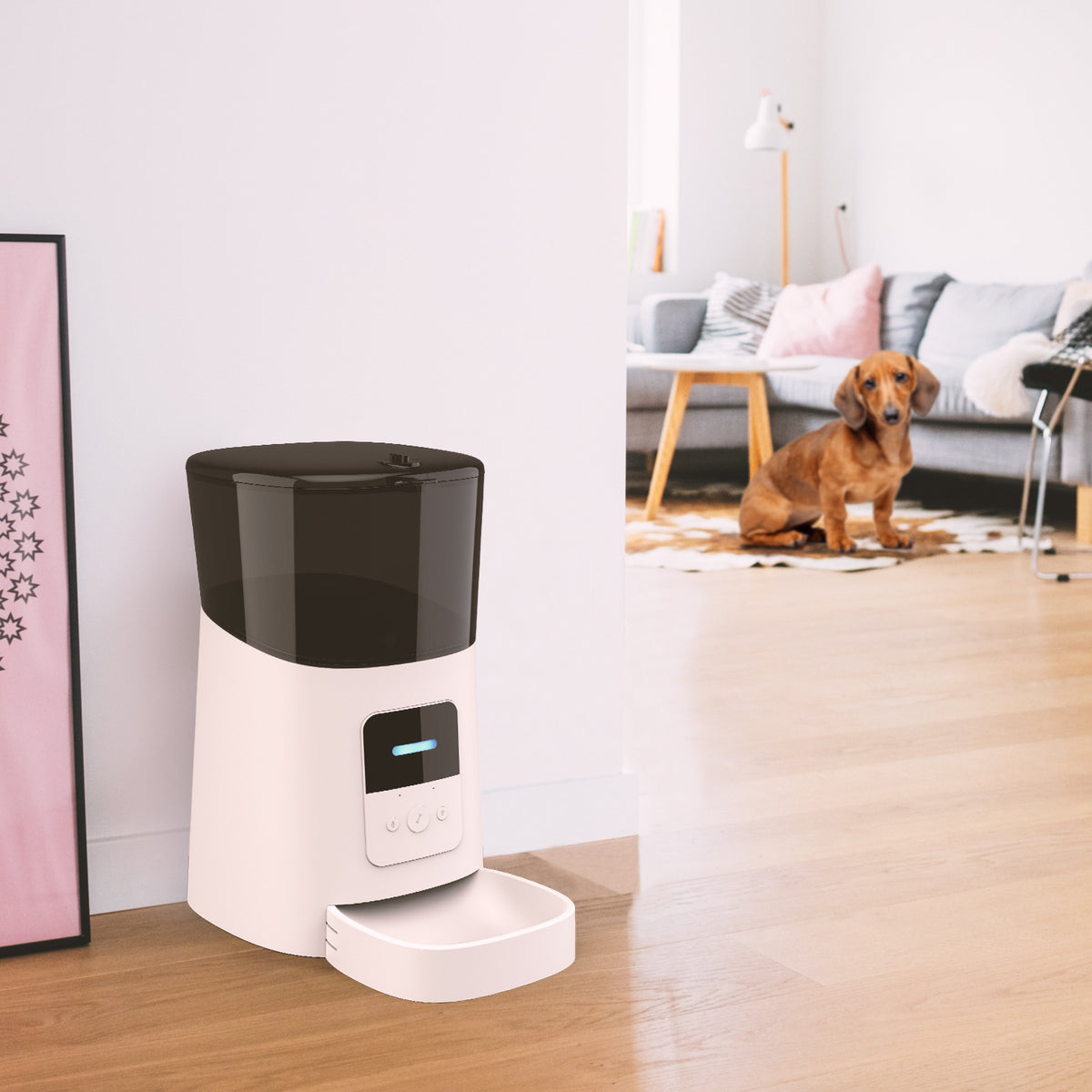 Pet feeder automatic — product detail