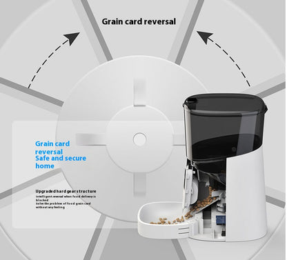 Pet feeder automatic — product detail