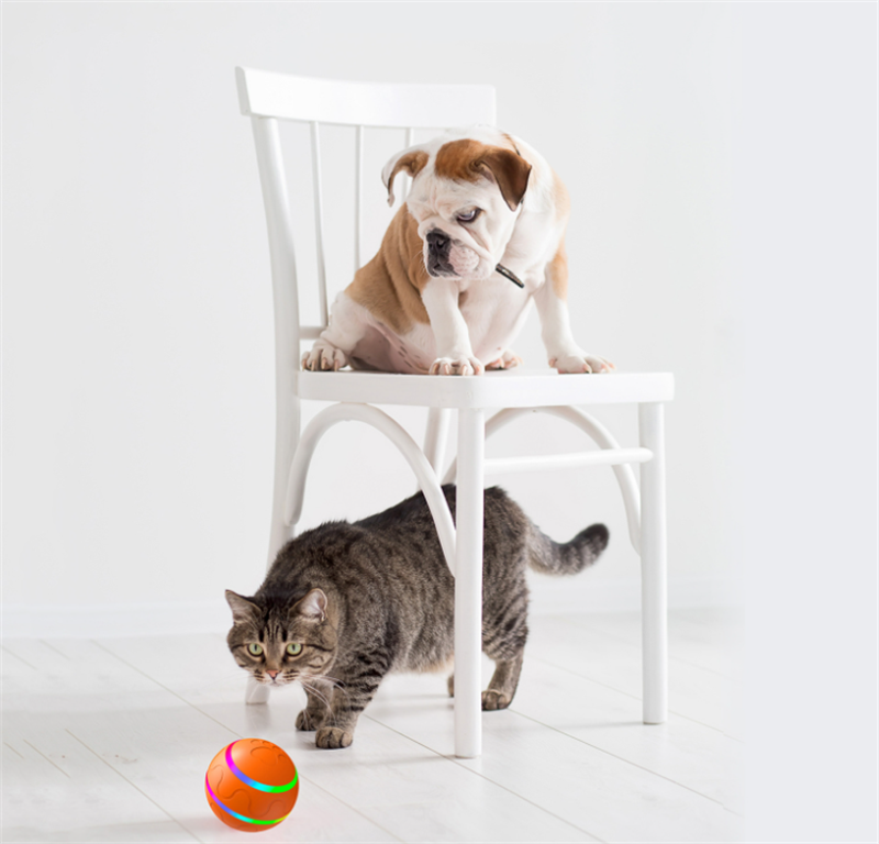 Pet New Cat Wicked Ball Toy Intelligent Ball USB Cat Toys Self Rotating Ball Automatic Rotation Ball — product detail