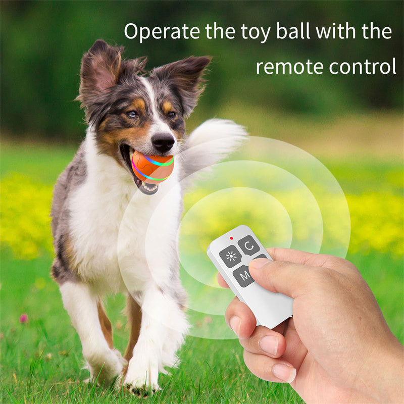 Pet New Cat Wicked Ball Toy Intelligent Ball USB Cat Toys Self Rotating Ball Automatic Rotation Ball — product detail