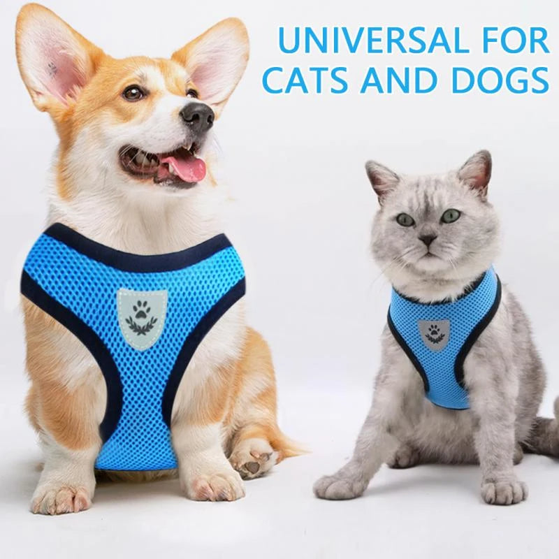 Reflective Pet Harness – supplier product photo