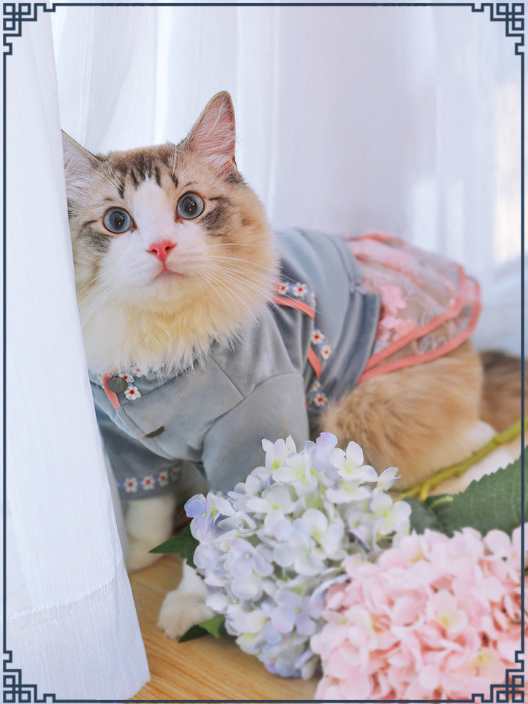 Pet cat clothes — product detail