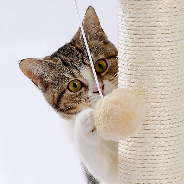 Cat Scratching Board with Ball Track – supplier product photo