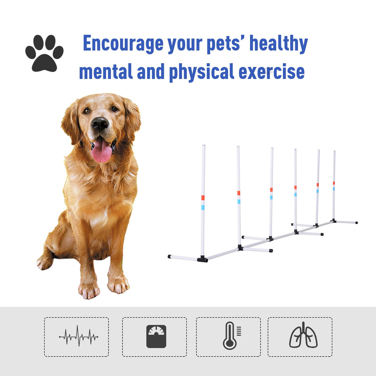 Outdoor Dog Agility Weave Poles — product detail