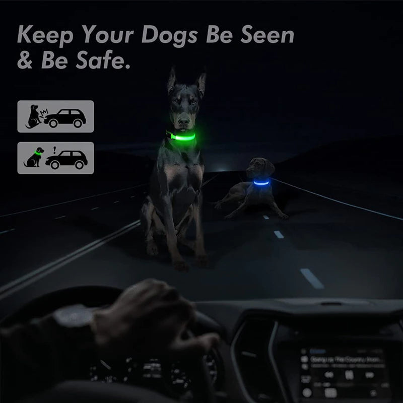 LED Light-Up Dog Collar – supplier product photo