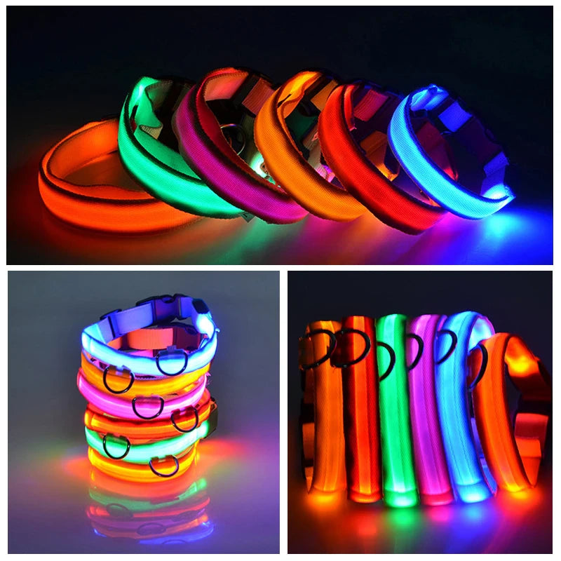 LED Light-Up Dog Collar – supplier product photo