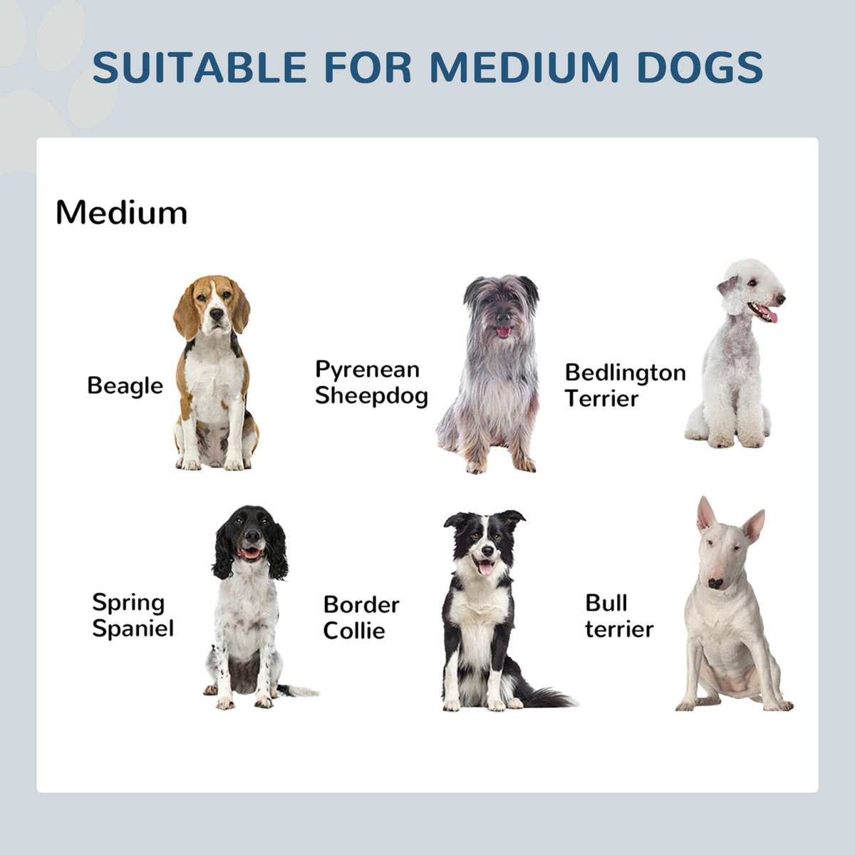 17-Inch Elevated Double Dog Bowl Stand — product detail