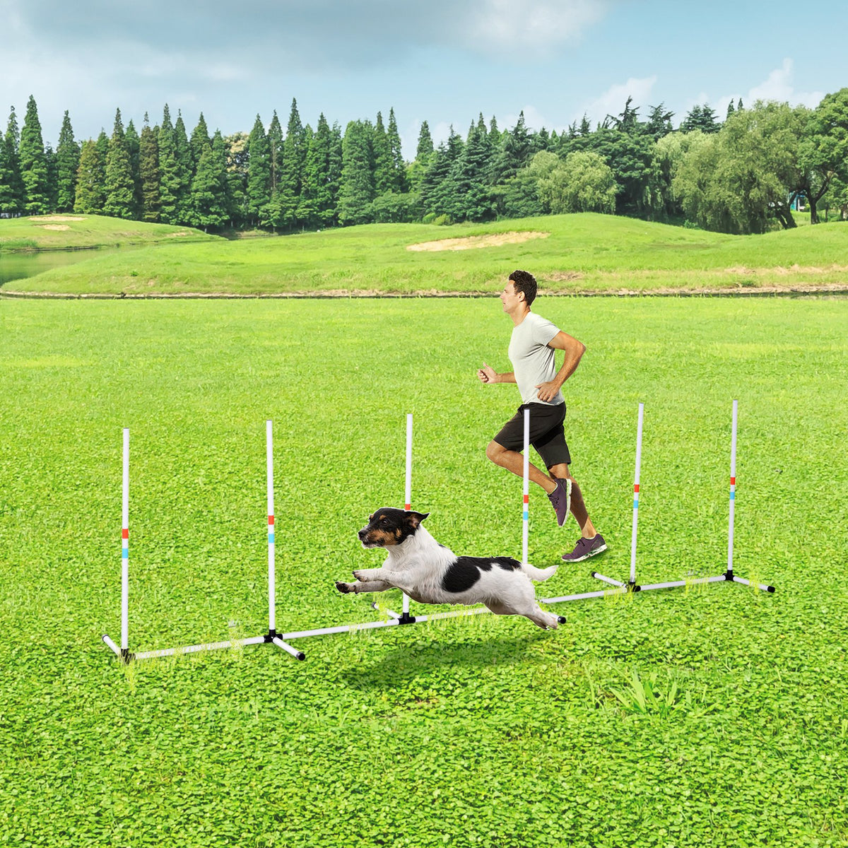 Outdoor Dog Agility Weave Poles — product detail