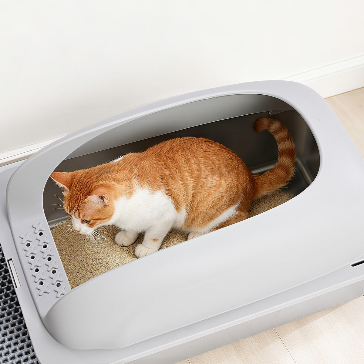 Stainless Steel Litter Box with Scoop and Mat – supplier product photo