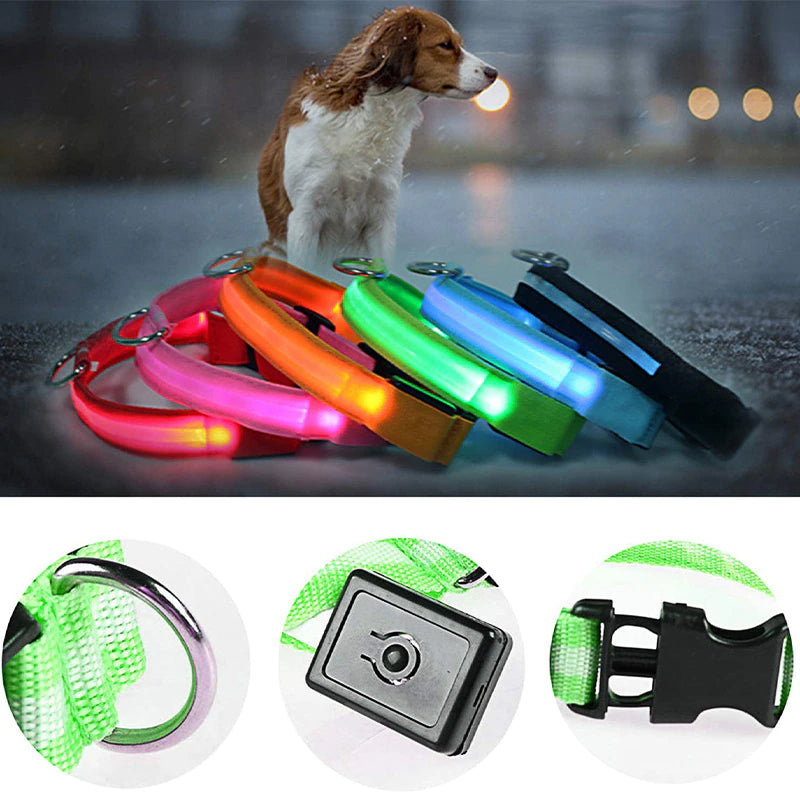 LED Light-Up Dog Collar – supplier product photo