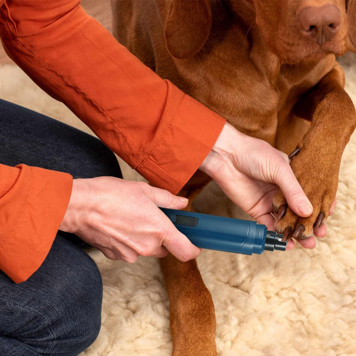 Rechargeable Two-Speed Pet Nail Grinder – supplier product photo