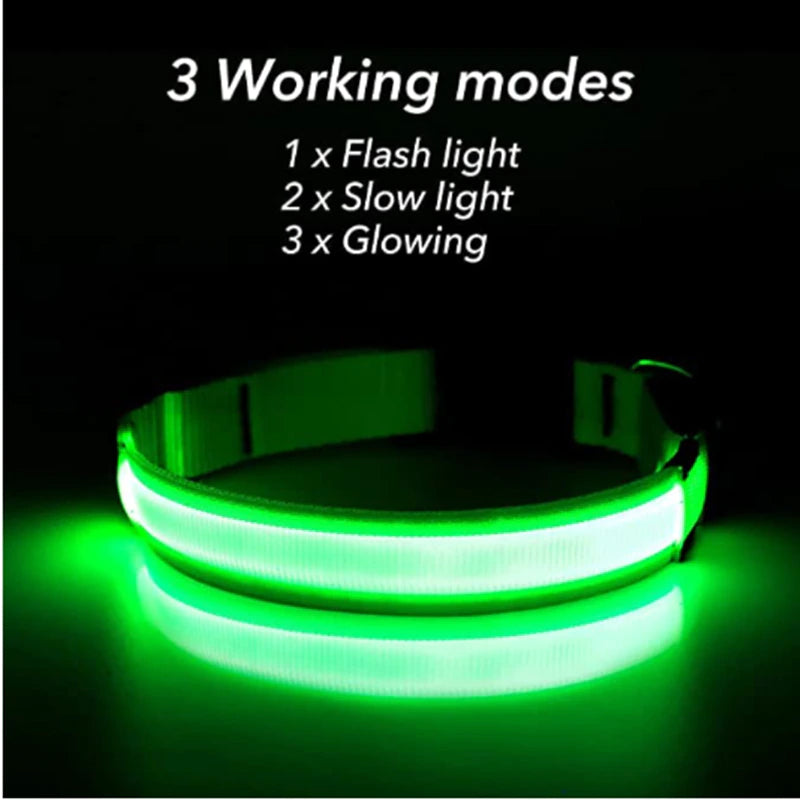 LED Light-Up Dog Collar – supplier product photo
