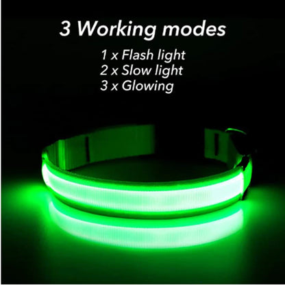 LED Light-Up Dog Collar – supplier product photo
