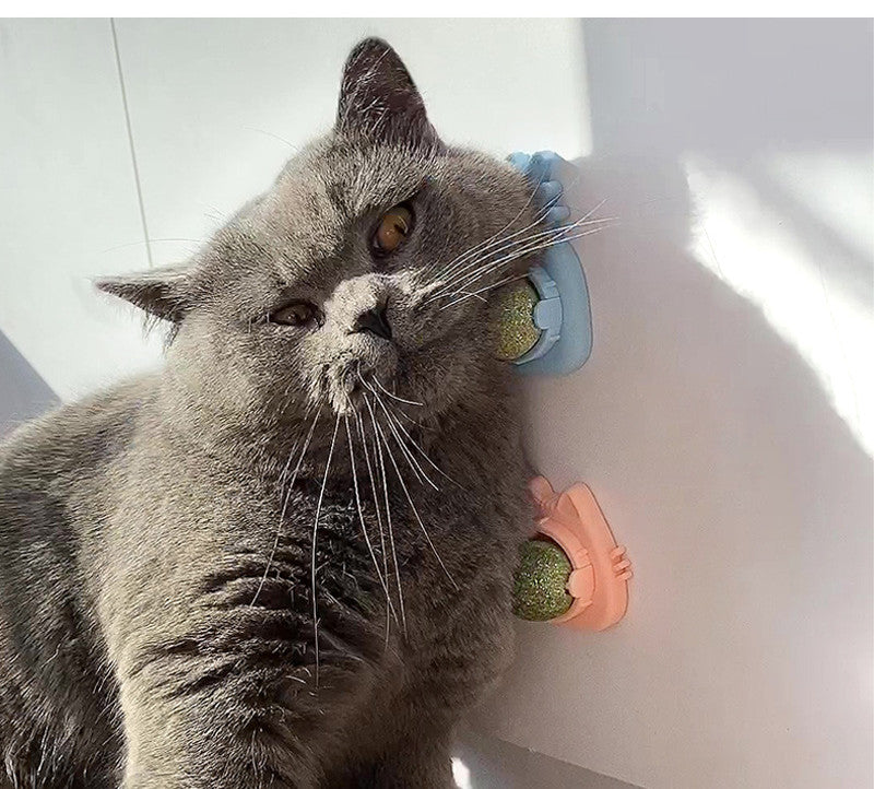 Pet Cat Mint Ball Toy Zihi Molar Pet Products — product detail