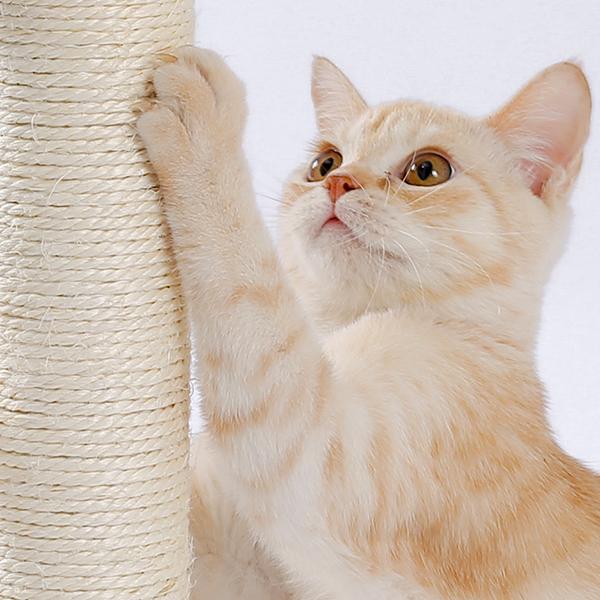 Cat Scratching Board with Ball Track – supplier product photo