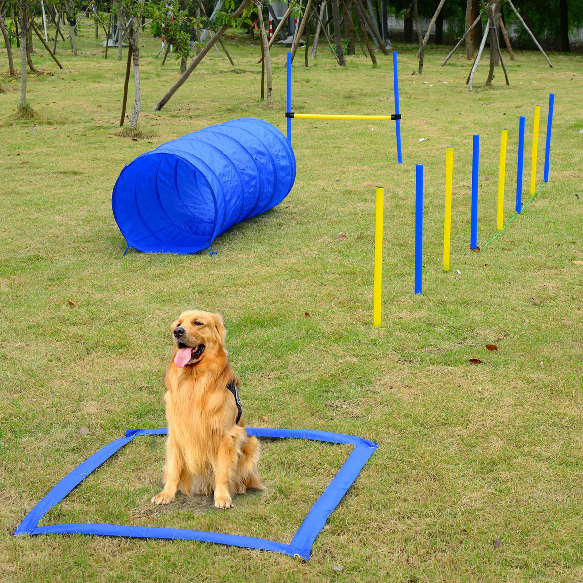 Backyard Dog Agility Obstacle Kit — product detail
