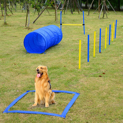 Backyard Dog Agility Obstacle Kit — product detail