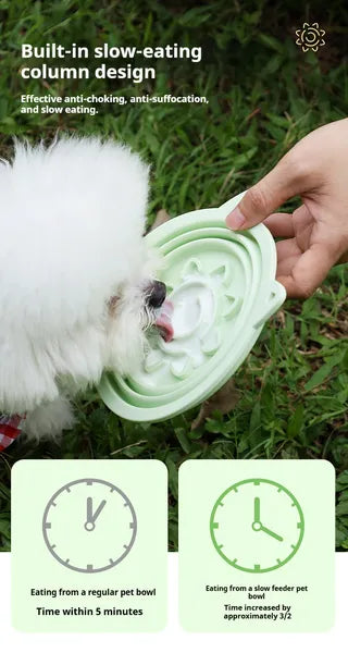 Collapsible Travel Bowl with Slow-Feeder Base – supplier product photo