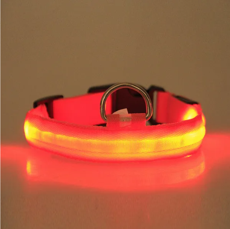 LED Halo Pet Collar – supplier product photo