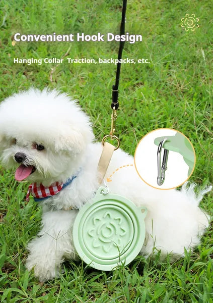 Collapsible Travel Bowl with Slow-Feeder Base – supplier product photo