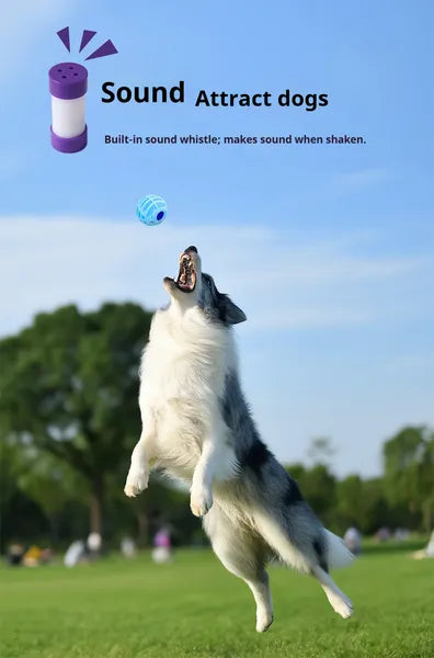 Interactive Pet Sound Ball — product detail