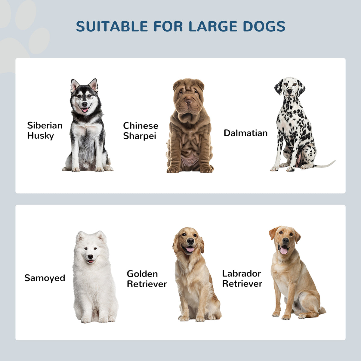 Elevated Dog Feeding Station with Storage — product detail