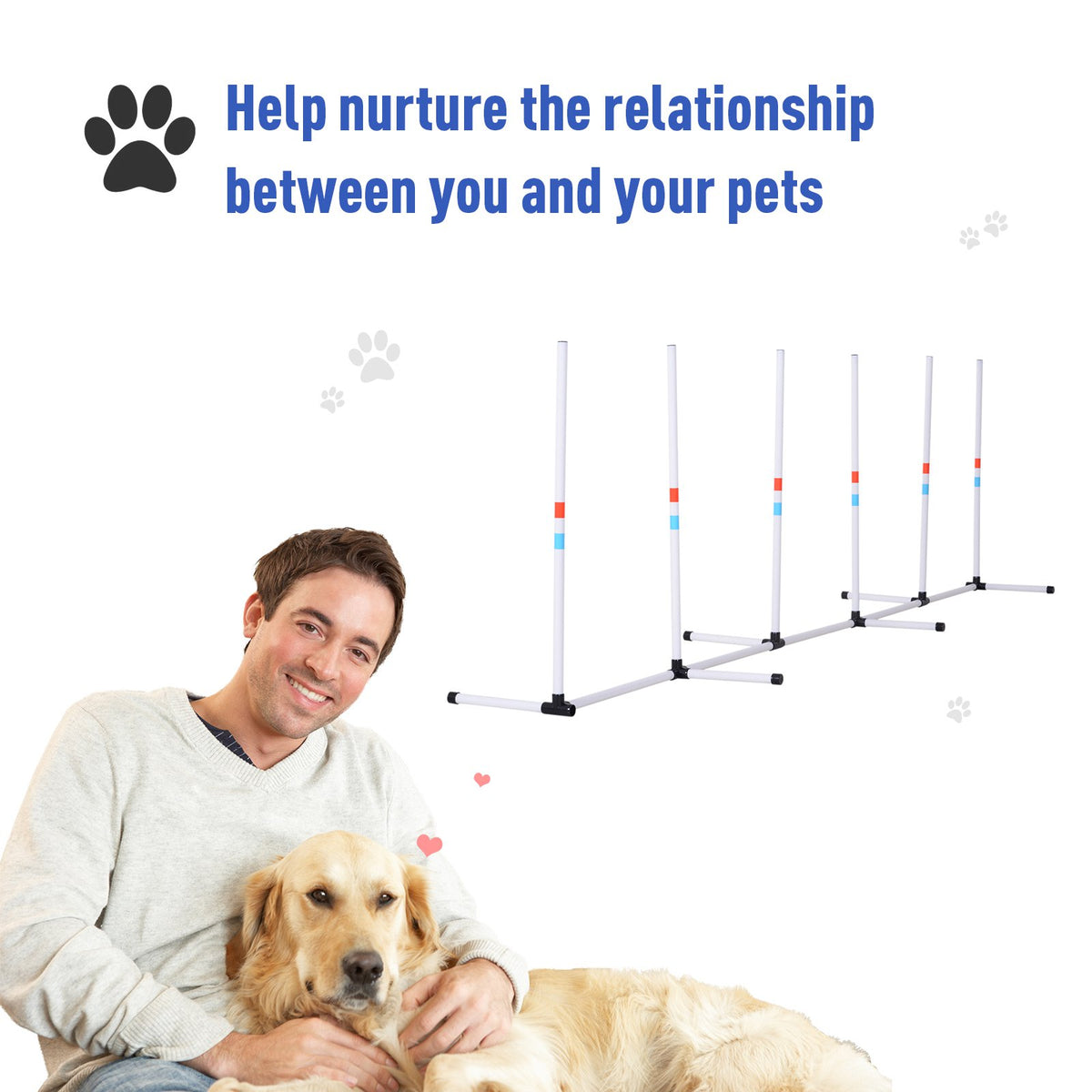 Outdoor Dog Agility Weave Poles — product detail