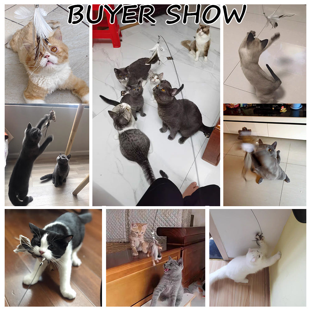 Suction-Cup Cat Teaser with Feather Lure — product detail