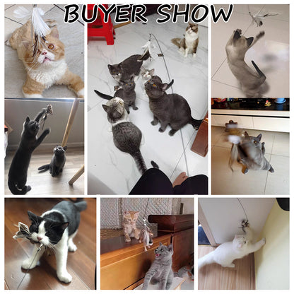 Suction-Cup Cat Teaser with Feather Lure — product detail