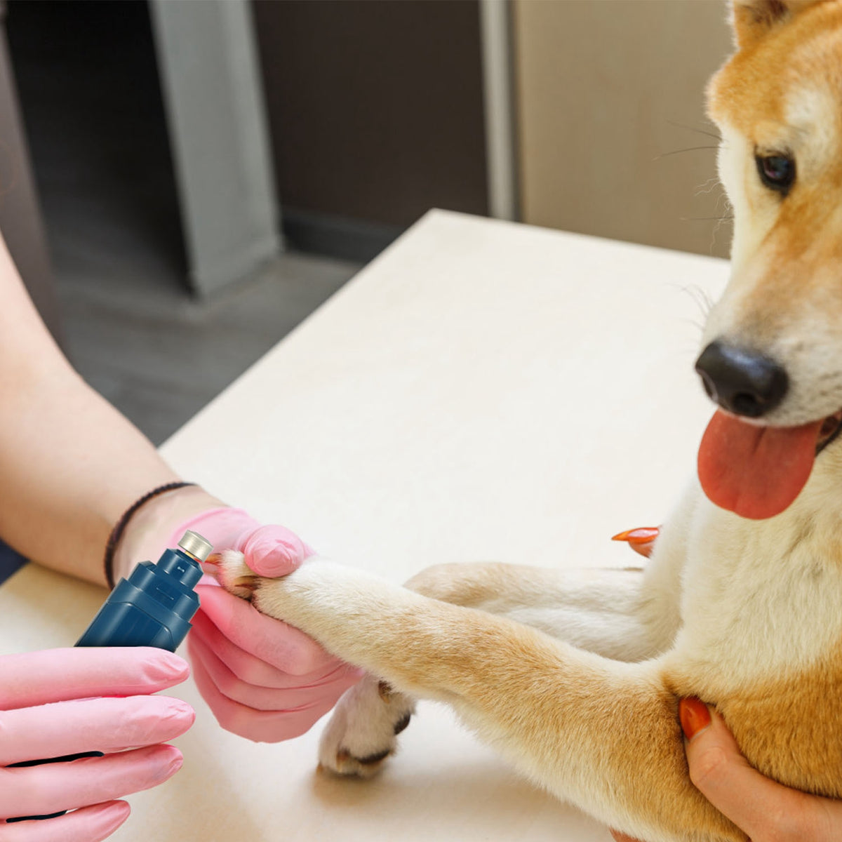 Rechargeable Two-Speed Pet Nail Grinder – supplier product photo