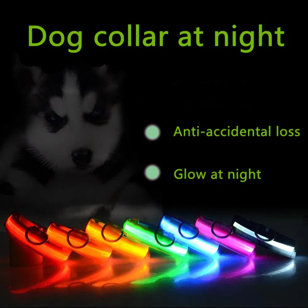 LED Light-Up Dog Collar – supplier product photo