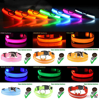LED Light-Up Dog Collar – supplier product photo