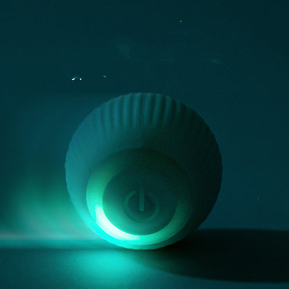 USB Rechargeable Gravity Electric Rolling Ball Electric Cat Toy — product detail