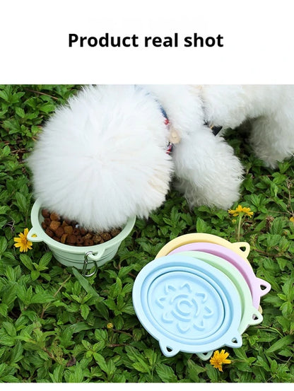 Collapsible Travel Bowl with Slow-Feeder Base – supplier product photo